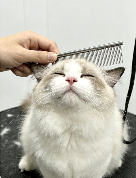 Grooming