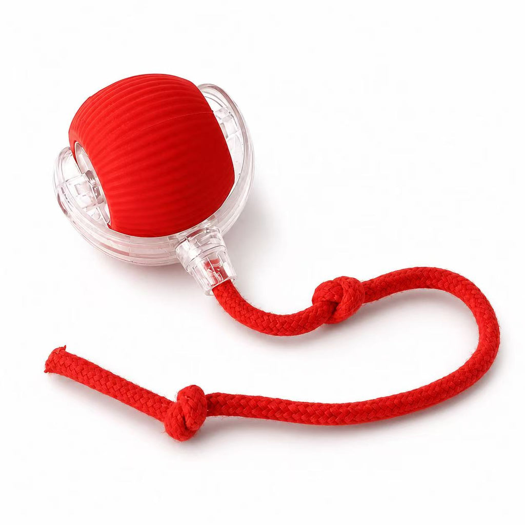 Bellyvo Smart Cat Ball