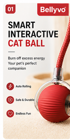 Bellyvo Smart Cat Ball