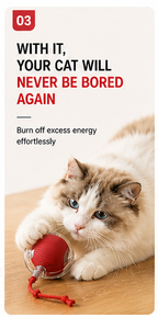 Bellyvo Smart Cat Ball