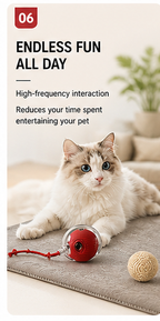Bellyvo Smart Cat Ball